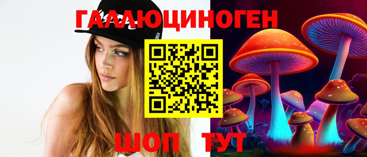 Галлюциногенные грибы Psilocybe  Вход с VPN  Михайловка  Галлюциногенные грибы прущие грибы 
