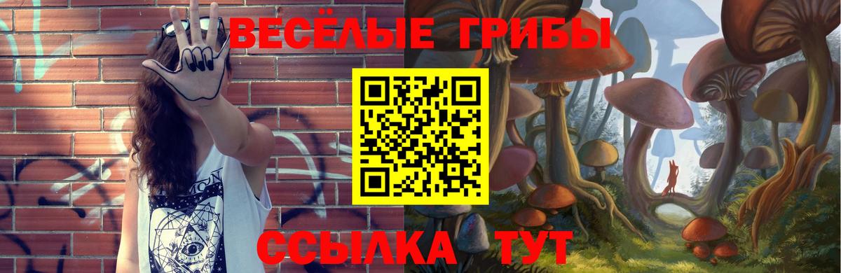 Галлюциногенные грибы Psilocybe Михайловка